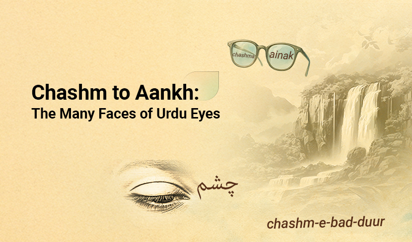 From Chashm to Aankh: The Many Faces of Urdu Eyes