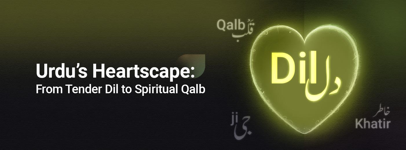 Urdu’s Heartscape: From Tender Dil to Spiritual Qalb Urdu’s Heartscape: From Tender Dil to Spiritual Qalb